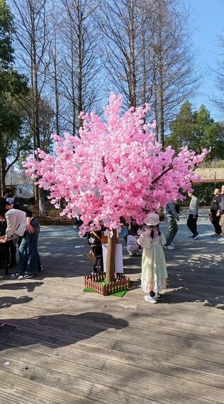 À la découverte du Parc de Baoshan…