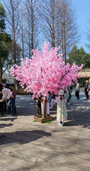 À la découverte du Parc de Baoshan à Shanghai