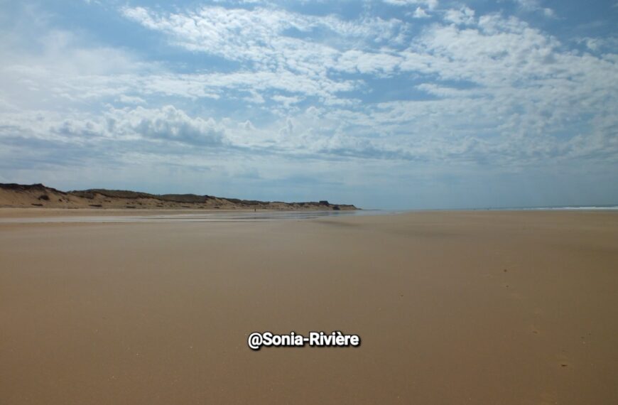 Les plages des Sables-d’Olonne : un paradis sur la côte…