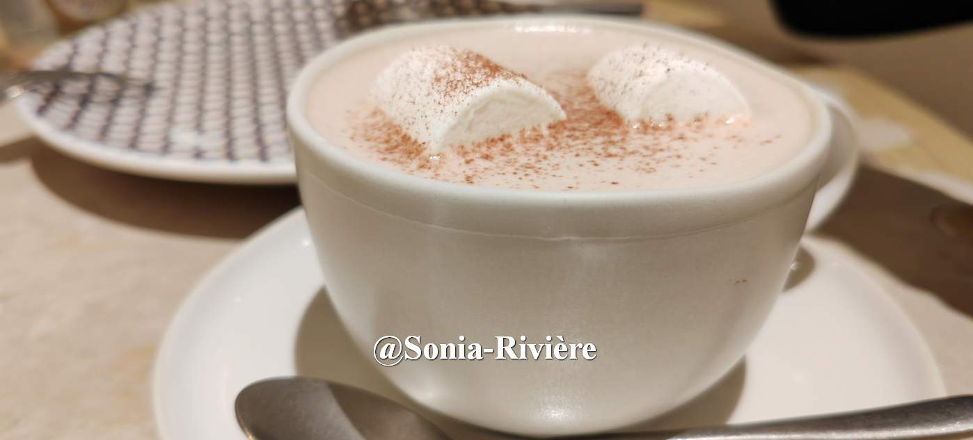 Cafés de Shanghai 上海咖啡 : une pause gourmande…